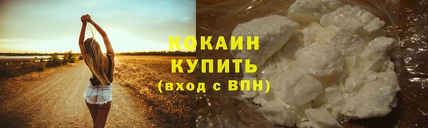 mdpv Богородск