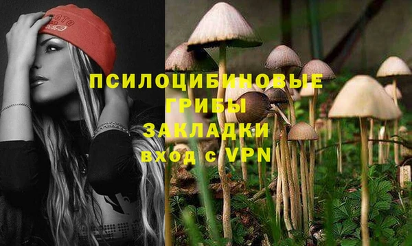 эйфоретик Аркадак