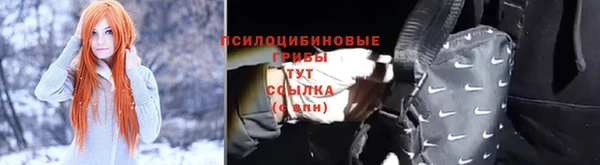 эйфоретик Аркадак
