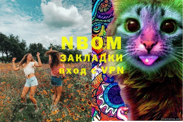 эйфоретик Аркадак