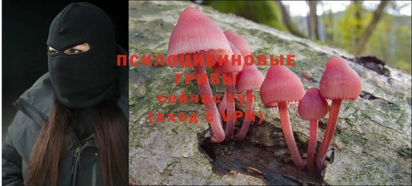 мдма Богородицк