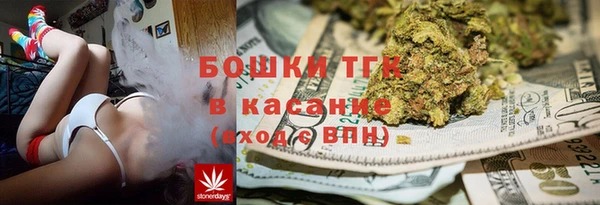 mdpv Богородск