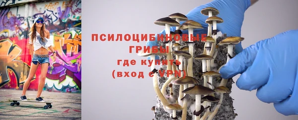 мдма Богородицк