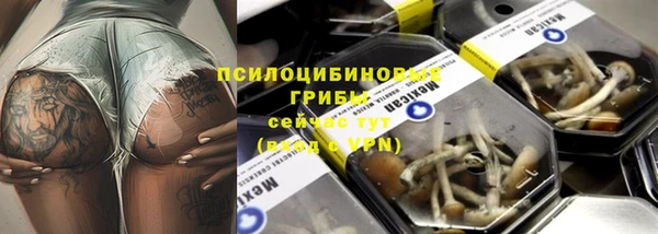 прущий лед Армянск