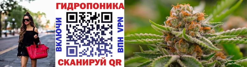 МЕГА как зайти  Строитель  МАРИХУАНА планчик 